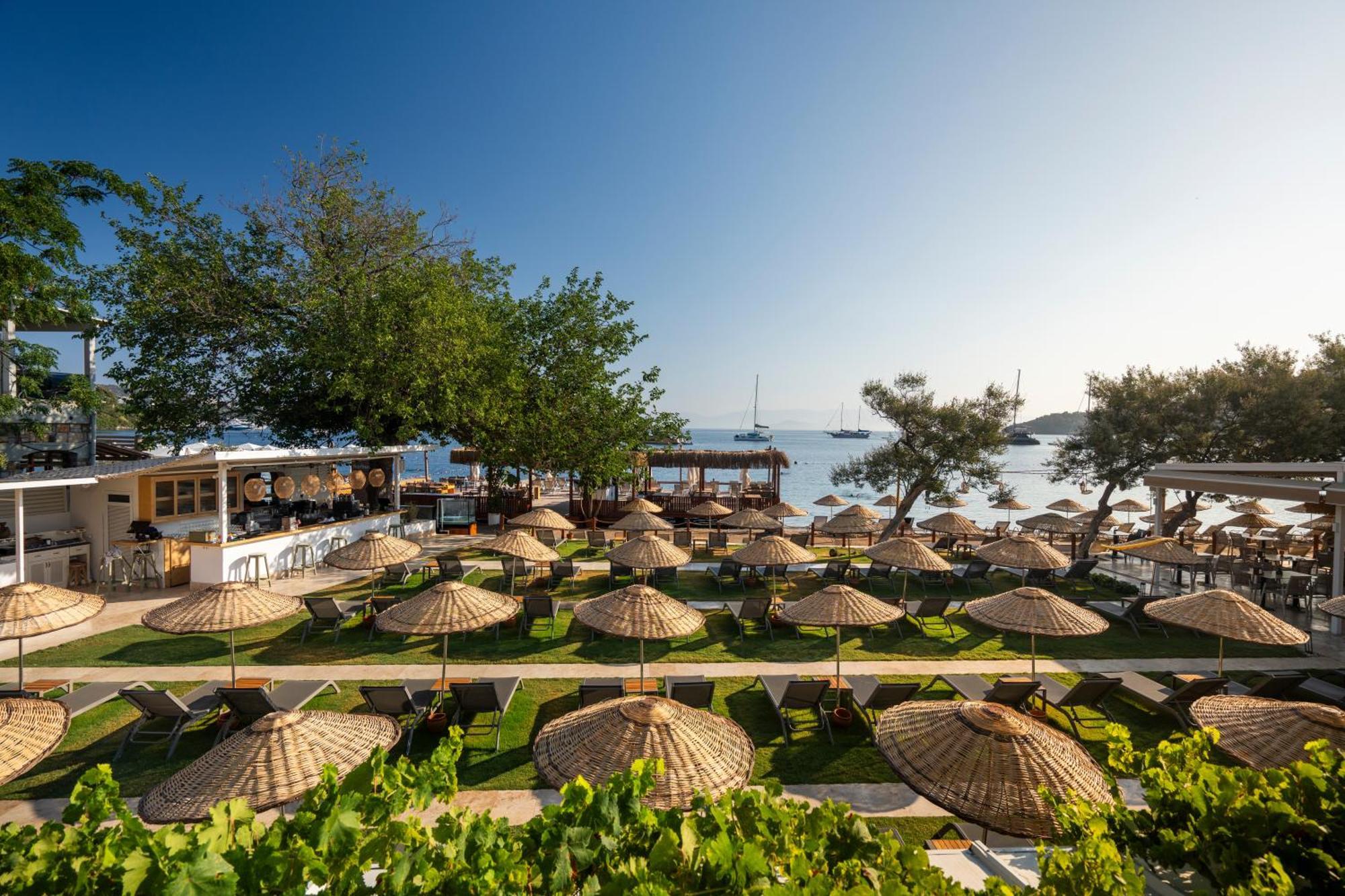 Daphnis Hotel Голтуркбуку Екстер'єр фото